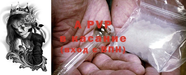 амф Пестово