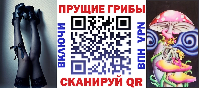 Галлюциногенные грибы Psilocybe  где можно купить наркотик  Тайшет 
